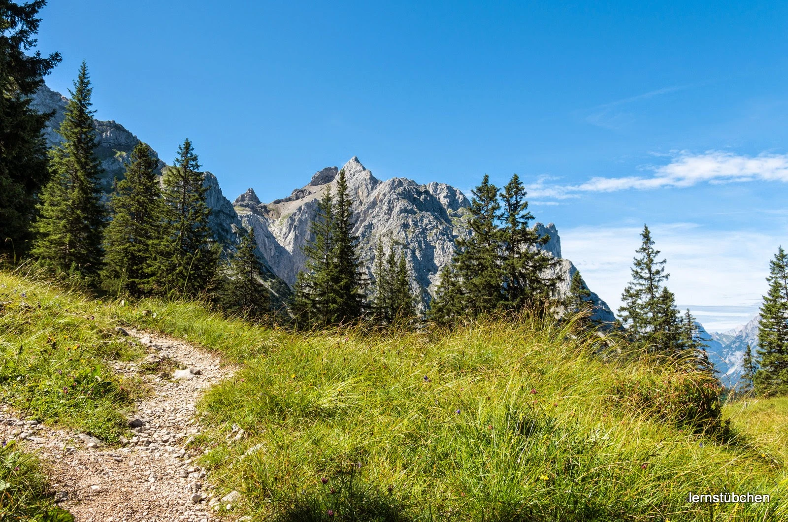 Ab in die Berge.jpeg